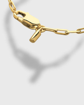 GRAND SUCESS – CLIP CHAIN